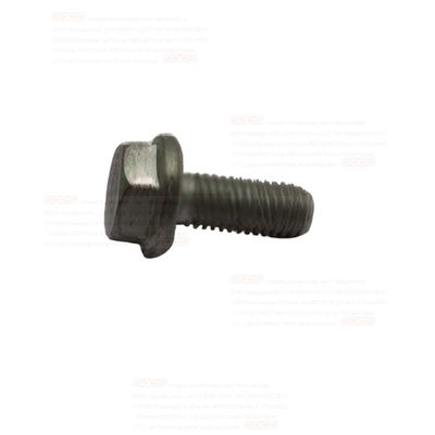 16673635 Auto Parts Screws for IVECO Daily BOLT OEM NO. and OE NO